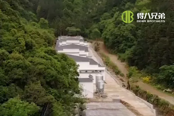 ãLiquid Feeding SystemãAnhui Huangshan 400 雌豚農場