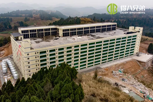 ãMulti Storey projectãSichuan Qiquan group 10000 雌豚農場