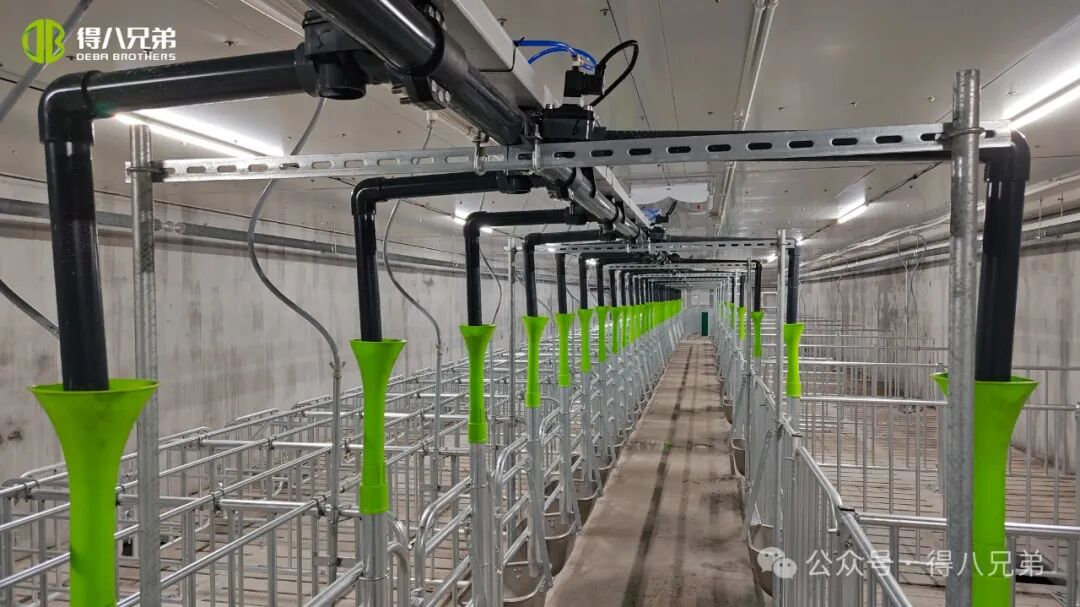 デバブラザーリチャ黒豚繁殖・栽培実証基地 - 雌豚2,000頭、年間屠殺数50,000頭の統合運営、67,000平方メートル